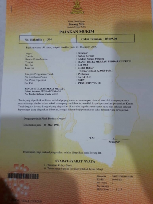 Merbau Berdarah Pasir Panjang Jalan Tanjung Malim Sabak Bernam Land For Sale Ejen Hartanah Berdaftar Rumah Untuk Dijual House For Sale